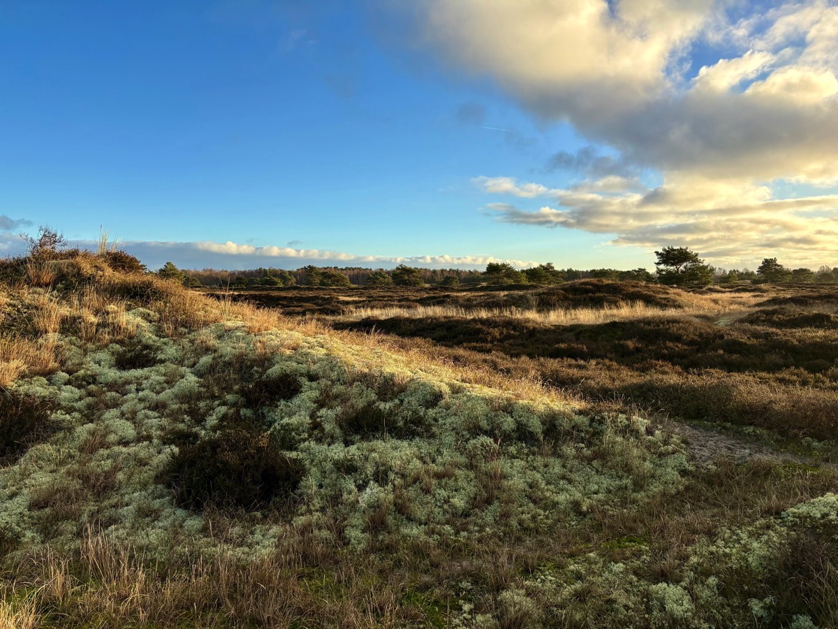 Stacks Image 106